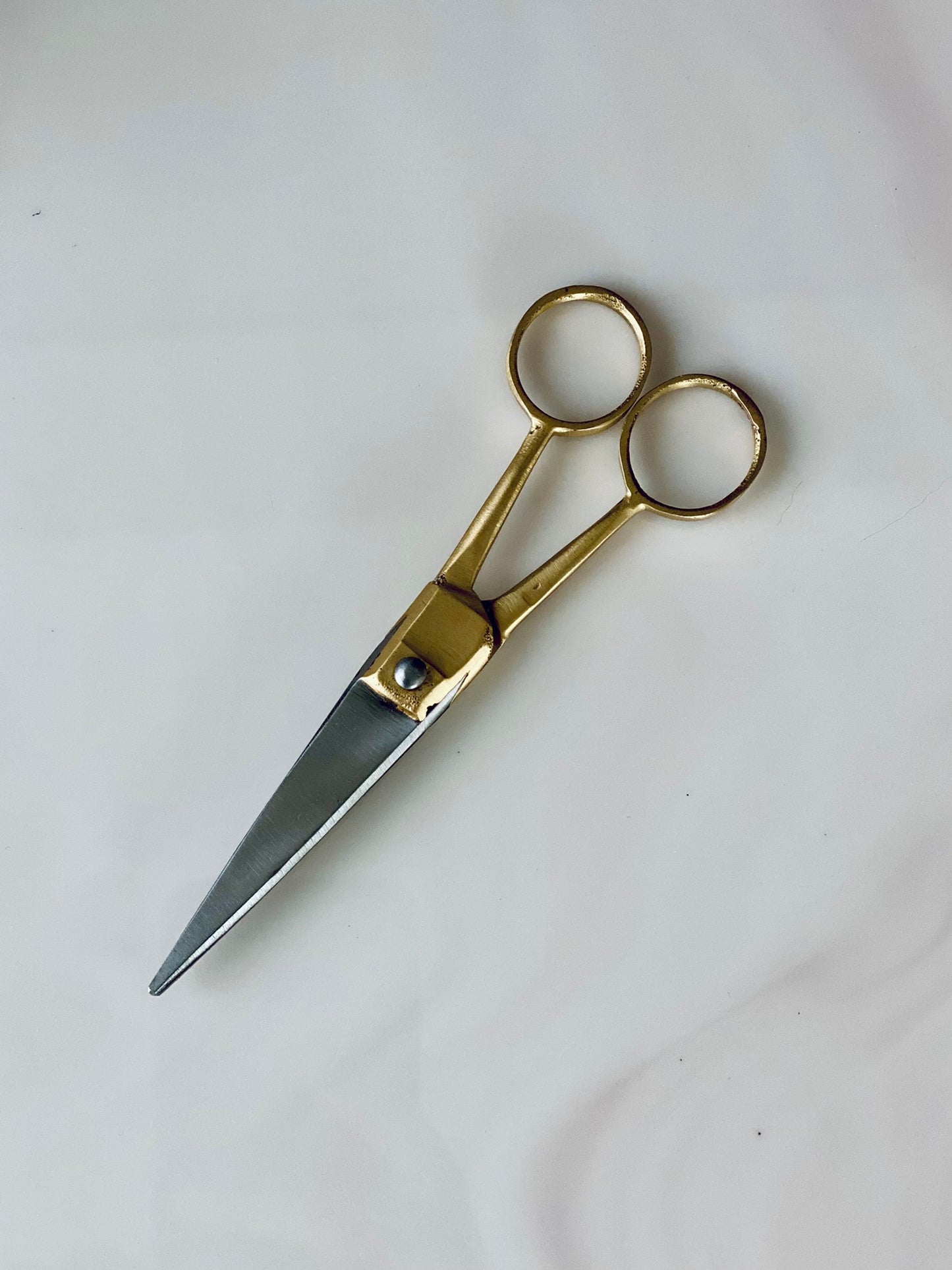 Brass Snips