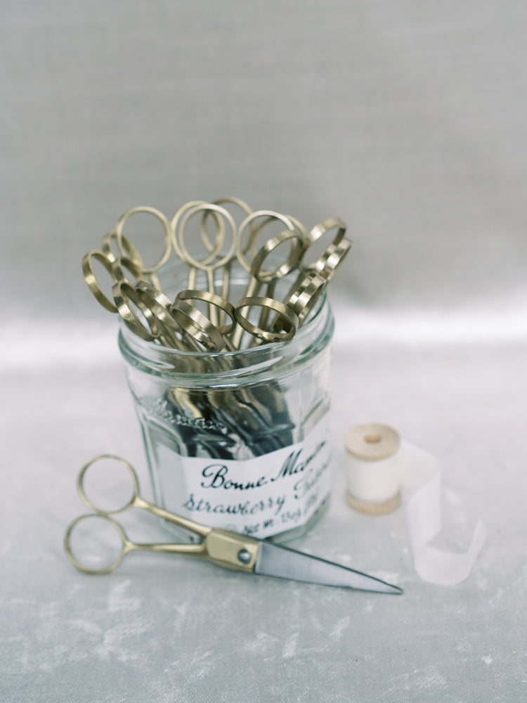Brass Snips