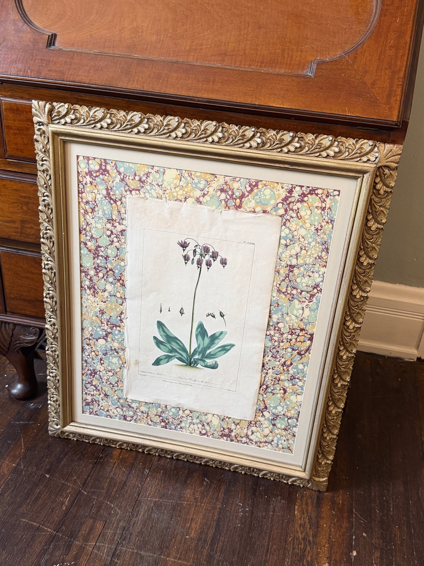 Gilt 18th Century Botany Framed Art