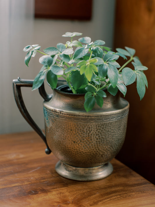 Hammered Brass Pitcher