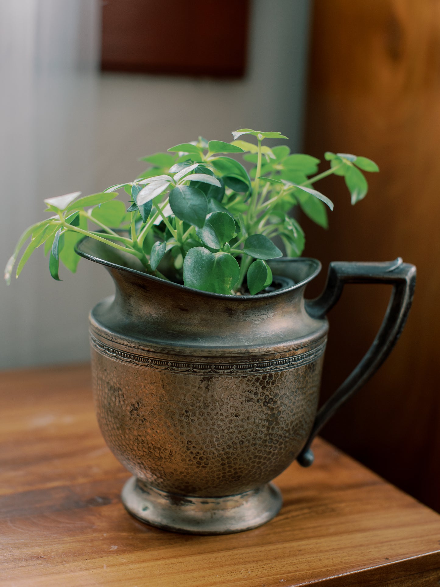 Hammered Brass Pitcher