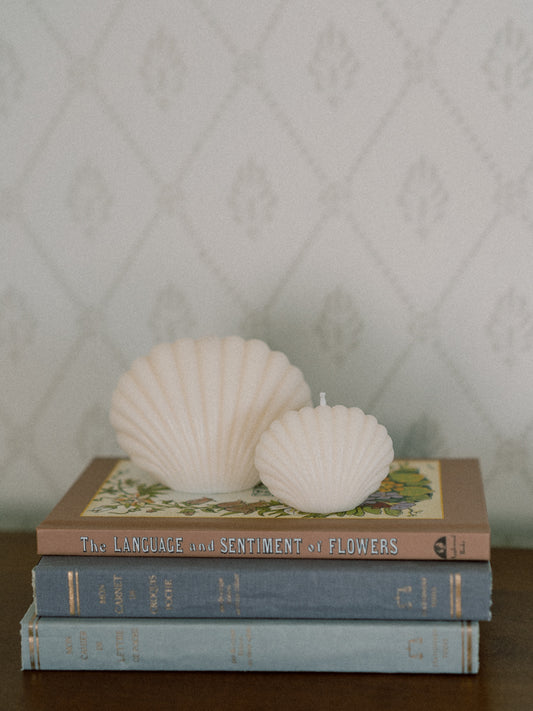 Set of Shell Candles | White